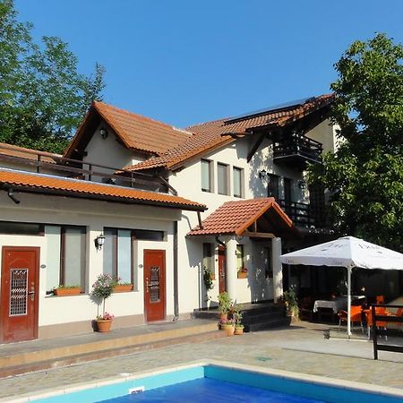 Vila Europa Sărata-Monteoru Exterior foto