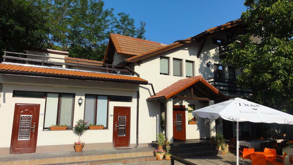 Vila Europa Sărata-Monteoru Exterior foto